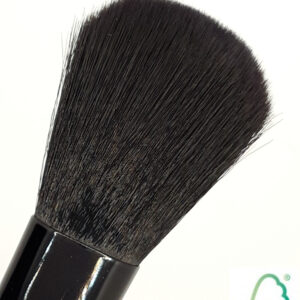 Pinceau blush